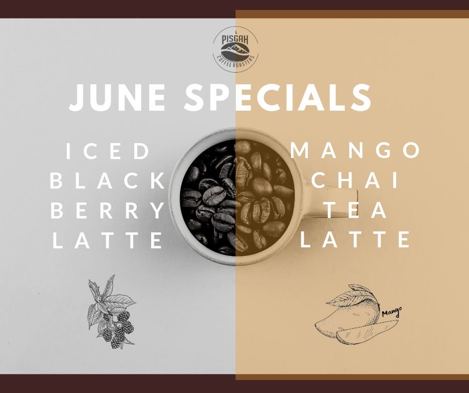 PisgahRoasters's tweet image. 👉 pisgahroasters.com/blog 👈
#wearehiring #jobalert #mangochai #blackberrylatte