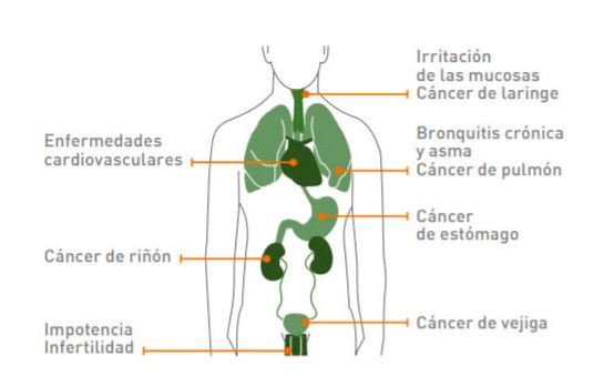 ContraCancerEs's tweet photo. Cómo el tabaco aumenta tu riesgo de sufrir cáncer (y no solo de pulmón) #tusaludesprimero https://t.co/tohscWrGrA https://t.co/9BfhpgH7L4
