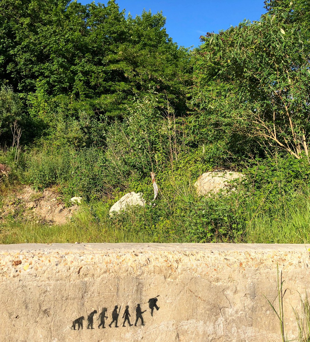 AnotherDeadTre1's tweet photo. Evolution
#stencil #streetart #street_art #pochoir #pochoirs #spraypaint #sprayart #stencilart #streetartlover #graffiti #streetartist #art #artcontemporain #stencils #anotherdeadtree #adt #streetarteverywhere #streetartrouen #rouenstreetart #music #evolution #punk https://t.co/bNjbW5wckD