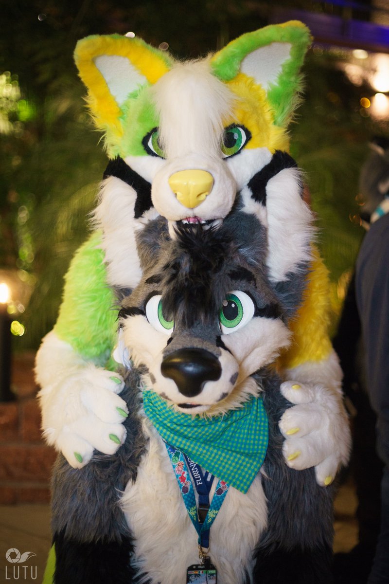This tall colorful Scandinavian husky knows how to give you a smile in <a href="/NordicFuzzCon/">NordicFuzzCon</a> 💚💛

Foxxo is happy now :)

Happy #FursuitFriday, thanks to <a href="/Lutufox/">Lutu 💙💛 🔜 NFC</a> for sharing and snapping this awesome photo 📸💙