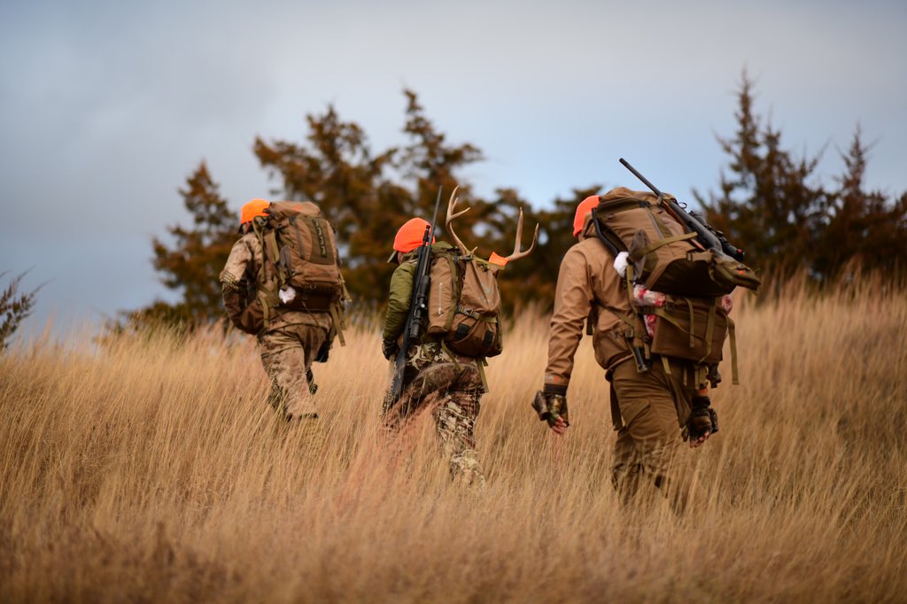 Check out our latest blogs on our Inside The Culture resource pages.