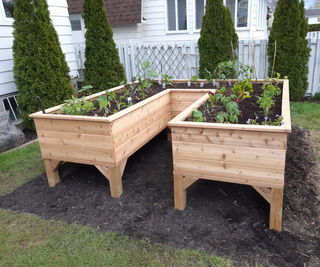 Make: Save Your Back: U-shaped Cedar Raised Garden bit.ly/2Xk3eRD