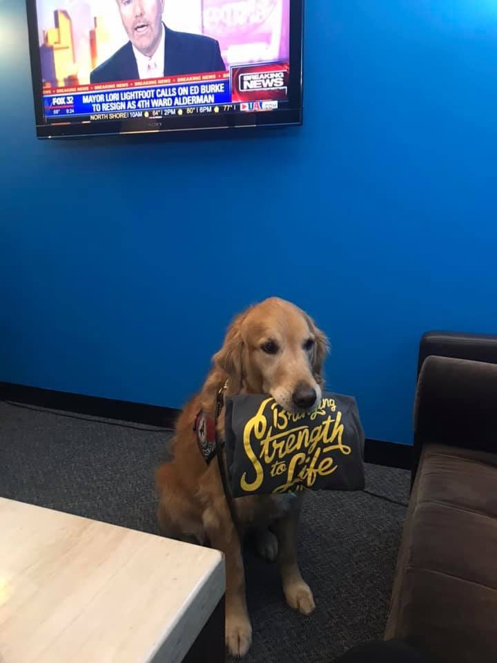 Geri Karli tweet media