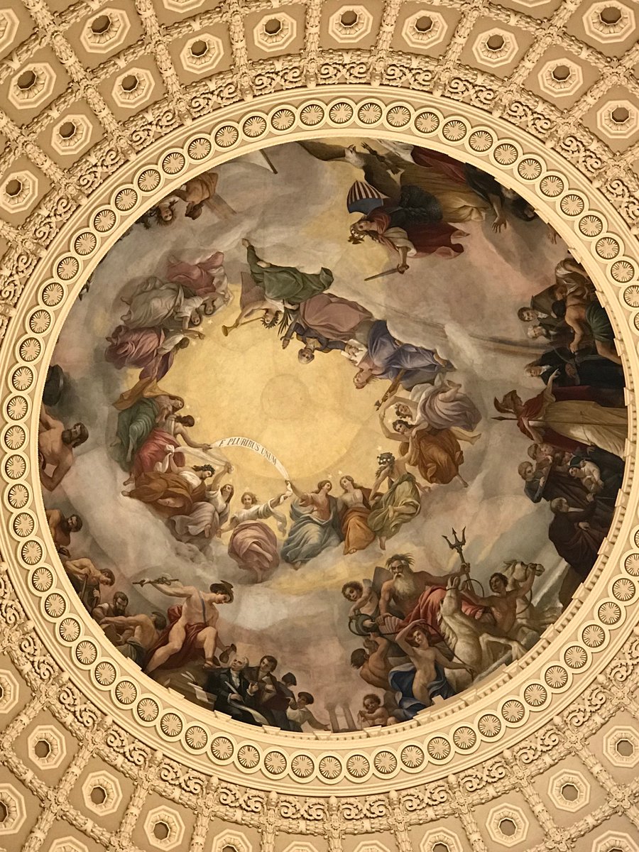 bioteachlynch's tweet photo. e pluribus unum                  out of many, one https://t.co/j7CRkLb83I