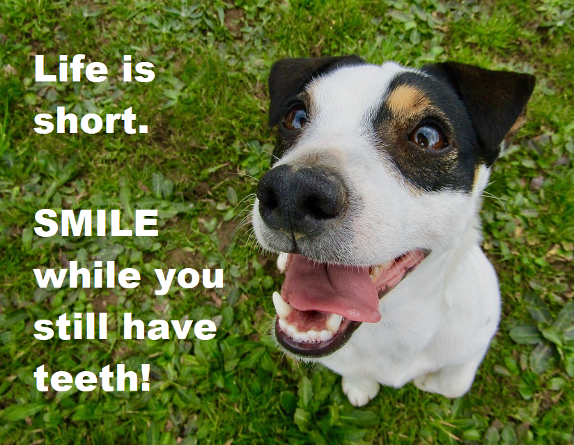 KACo's tweet photo. Today is National Smile Day! https://t.co/1qDq6Oa1MU