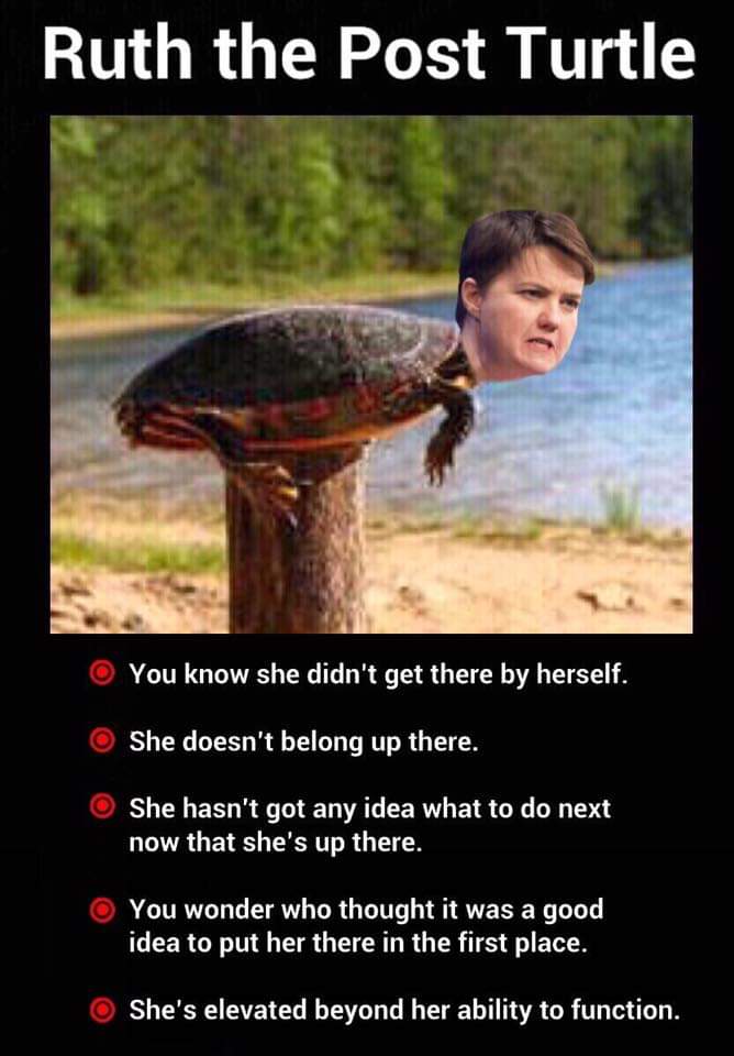 Scotlandisyes's tweet photo. She can continuously prattle on about how the EU elections 'weren’t' about Scottish Independence but their own propaganda leaflets were the only ones to mention it, now it’s came back to haunt them.
Makes you wonder how long she’s got on top of her post. 🤣 @RuthDavidsonMSP 👈👇 https://t.co/MItrWOLOL4