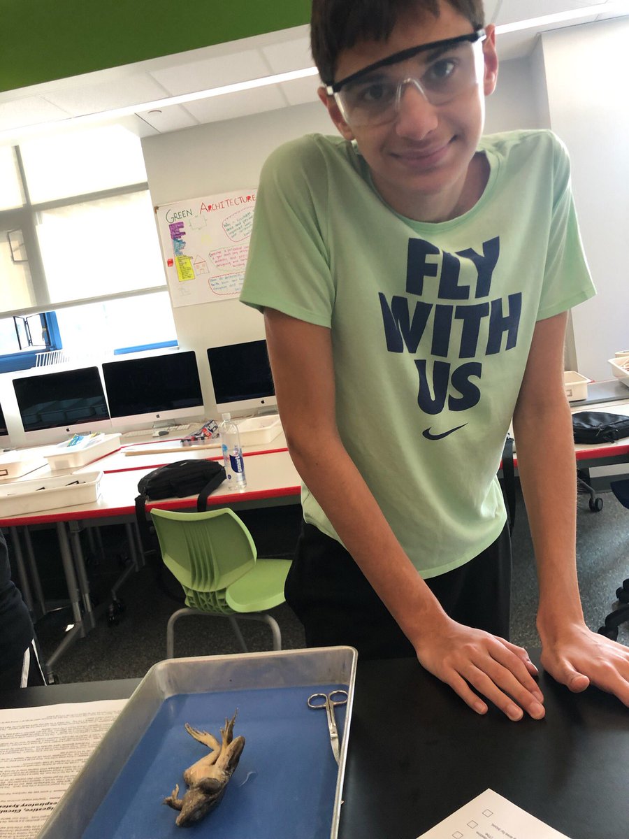 MNtdse's tweet photo. Ending this week with a frog dissection in science class ⁦@NTDSE⁩ #NTDSEempowers https://t.co/jhtE4N6w59