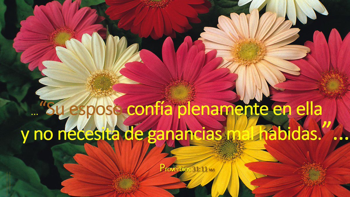 OyM_dtD's tweet photo. 📬
De:#ConsejeroAdmirable
Para:@SenadoGovCo🇨🇴
#Ref_ #PlenariaSenado
@NoticieroSenado
📖Sirvan al SEÑOR con temor; con temblor
ríndanle alabanza.
✍️🤴David
#MenúMayo31_🌱
#QuéDiceElSeñor
#LibroProverbios 31:1-31
✍️🤴sabio Salomón
➡️#Hoy31Cap31👂https://t.co/wv9AxYjtQM🖼️🎨🖌️OyM https://t.co/i1mwWr6nYv
