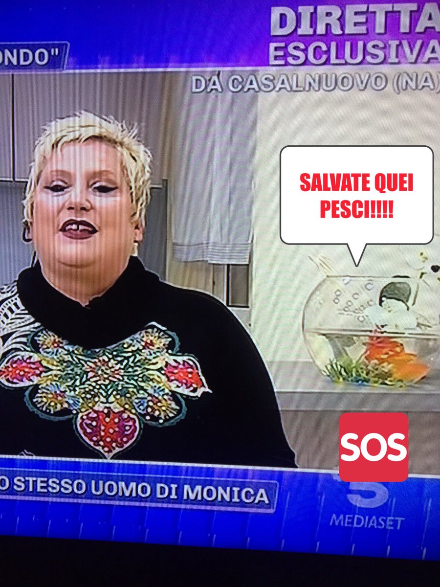 GfStrip's tweet photo. Aggiungete acqua nella boccia di quei PESCI !!!!! 4 pesci in due dita d'acqua .... 
MONICA SVEGLIAMOCI !!!!
 #salviamoli #barbaradurso #Pomeriggio5 #mediaset #pomeriggio5 #pesci #senza #acqua https://t.co/Dikjy0gENx