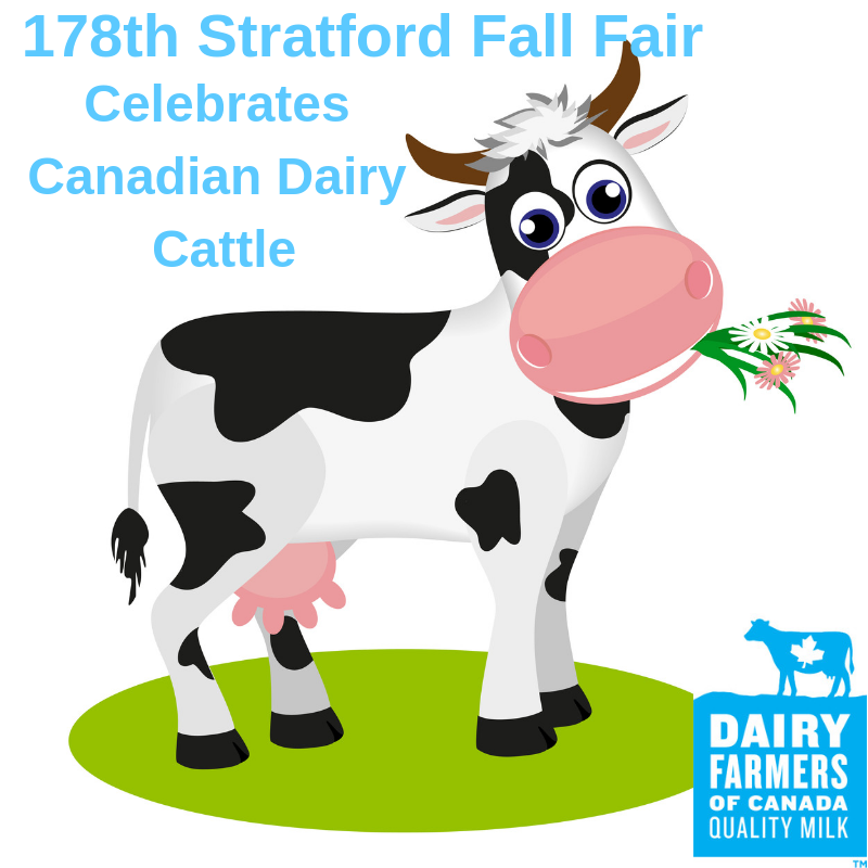 StratfordFair's tweet photo. Fall Fair Friday!
In honour of World Milk Day tomorrow we bring you the celebration of our Canadian Dairy Cattle at the 178th Stratford Fall Fair! #StratfordFallFair #canadianmilk #milkingdemonstrations #supportcanadiandairyfarmers https://t.co/7GDvArcLIp