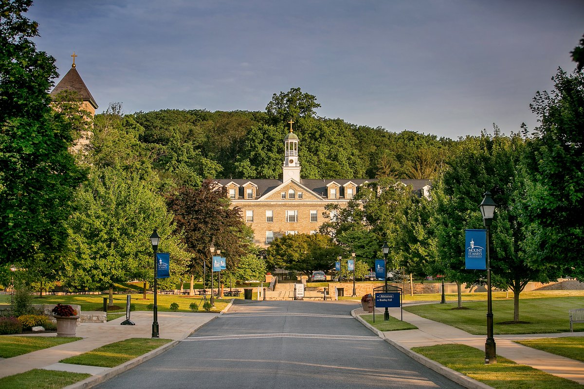 MSMU's tweet photo. Congrats to the 665 Mounties who made the Dean's List in the Spring 2019 semester! #LearnVoraciously #MountProud
https://t.co/j40GXVbBDS https://t.co/7xN7Rrqjun