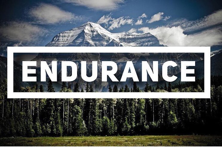 221BFinancial's tweet photo. No one ever said the journey to financial freedom would be easy. It takes dedication, persistence, and endurance. If you’re willing to sacrifice in the short term, you’ll be rewarded in the long term. #debt #debtfree #finance #freedom #personalfinance #budget #FridayMotivation https://t.co/aEF1TDJbFr