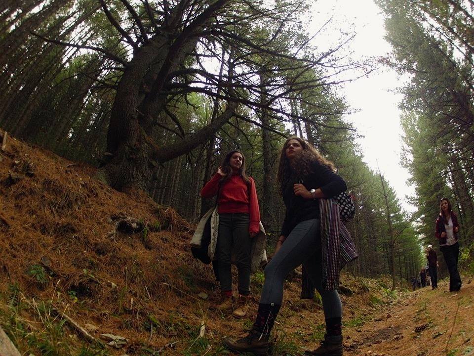 Yo <a href="/anabrnabic/">Ana Brnabic</a> @serbianPM : I suggest you visit  #RepublicofKosovo mountains and woods. It's truly soul cleansing. You might also run into #PeopleFromtheWoods . We could teach you a thing or two about Kosovo woods <3 

 #LiterallyJustEmergedFromtheWoods #PeopleFromtheWoods