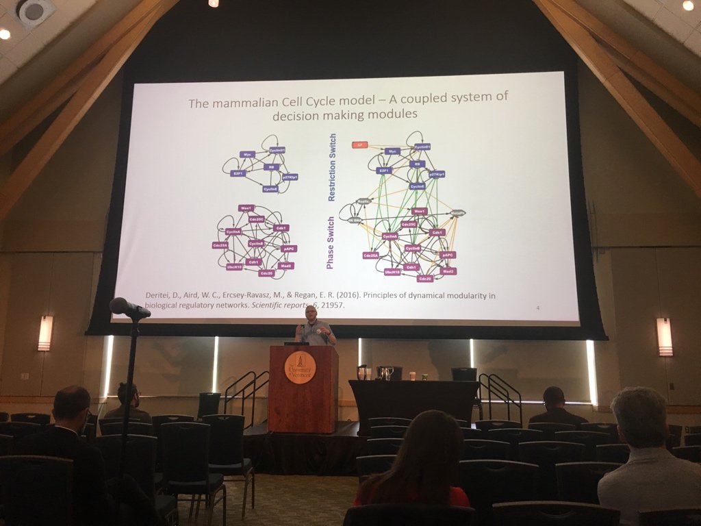 RavaszRegan's tweet photo. Dávid @DavidDeritei  just have a wonderful talk @2019NetSci  about our upcoming paper on what makes cell cycle oscillations so robust. Great job Dávid, this was a fun collaboration with you, Réka and Jordan. #NetSci2019 https://t.co/inikiEiRju