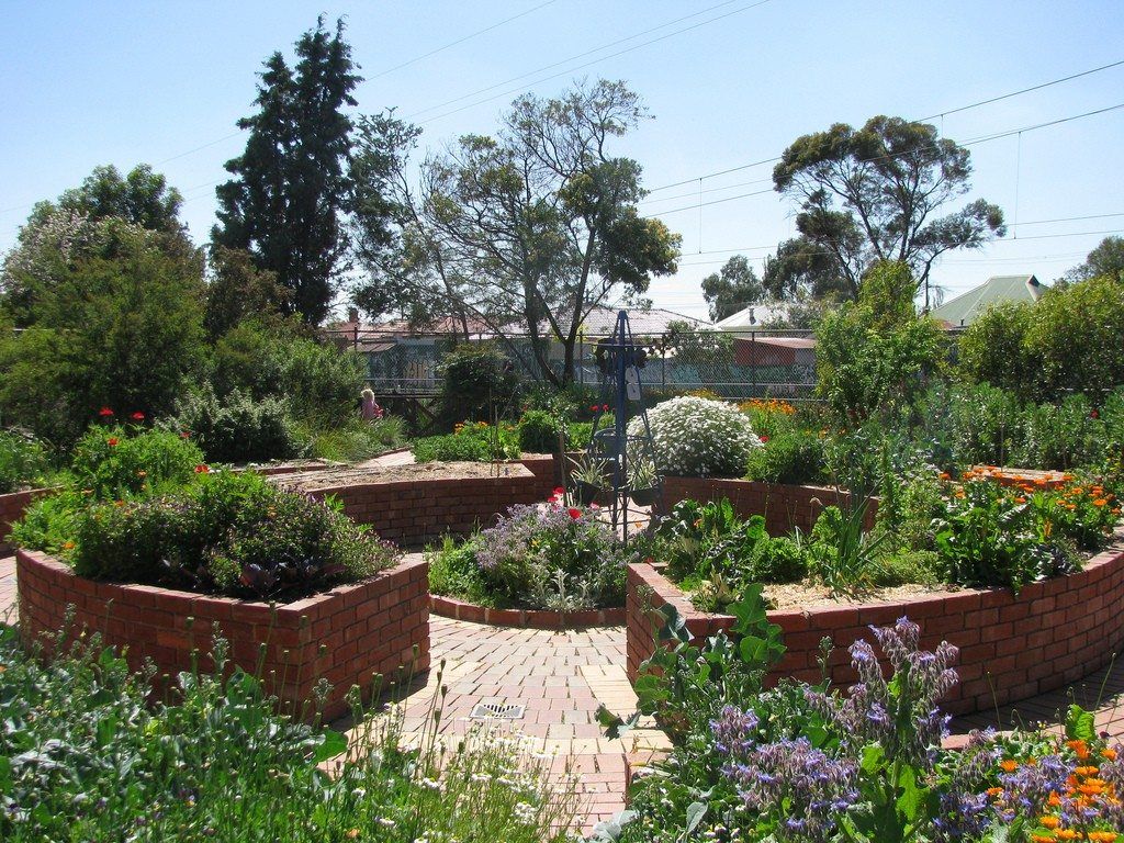 WID_org's tweet photo. “Gardening with disabilities is not only possible, but a way to maintain one’s lifestyle and happiness during a time of physical adversity”- Jackie Carroll #Gardening #DisabledGardener #Disabilty #AdaptiveTools #Theraputic
https://t.co/eQiF3awgwR https://t.co/xGKaI9HUo6