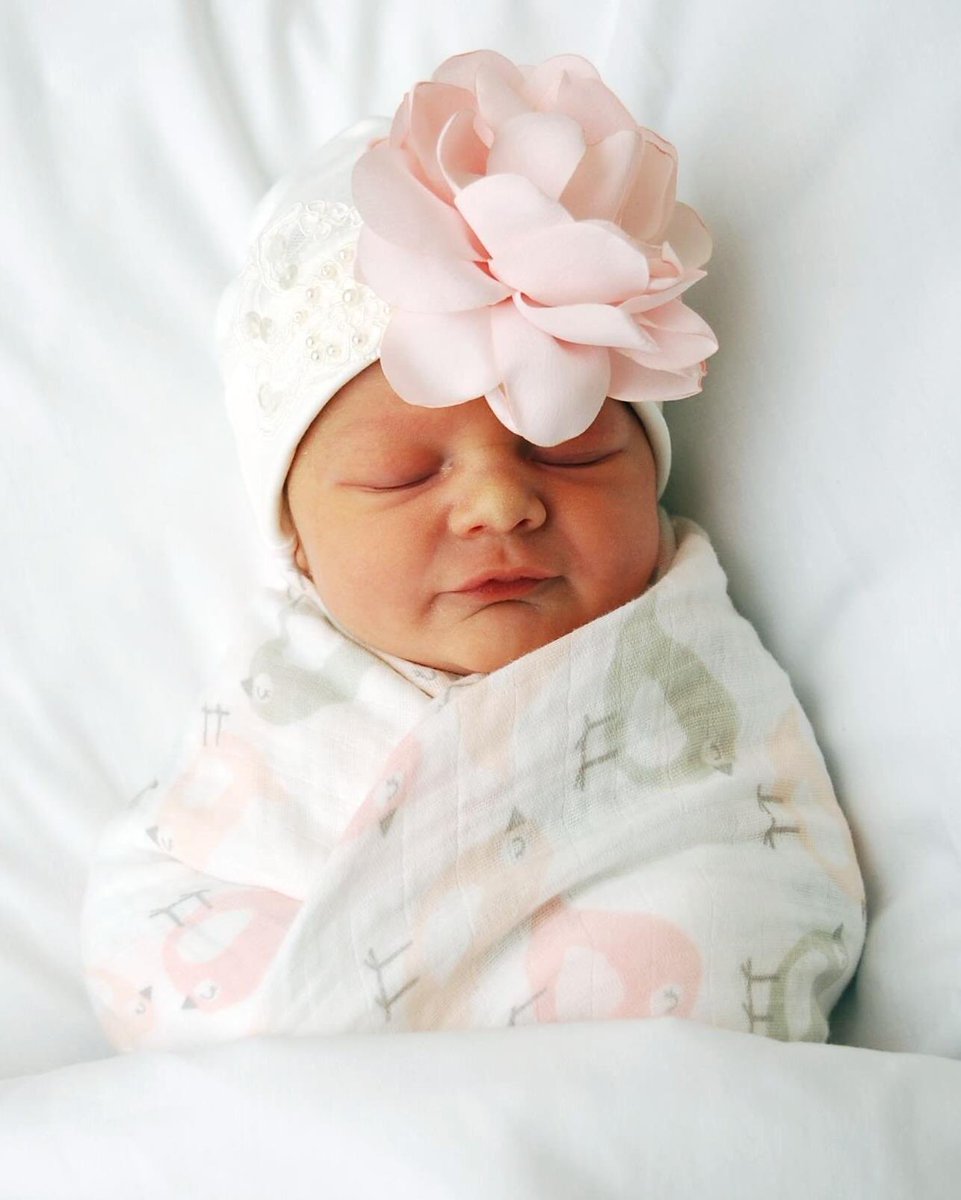 Karen Valenti tweet media