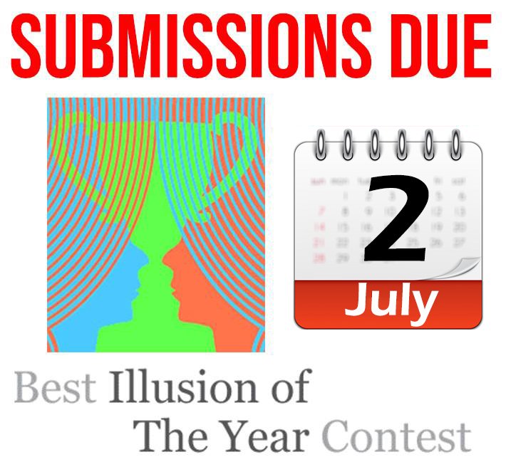 Illusion Contest tweet media