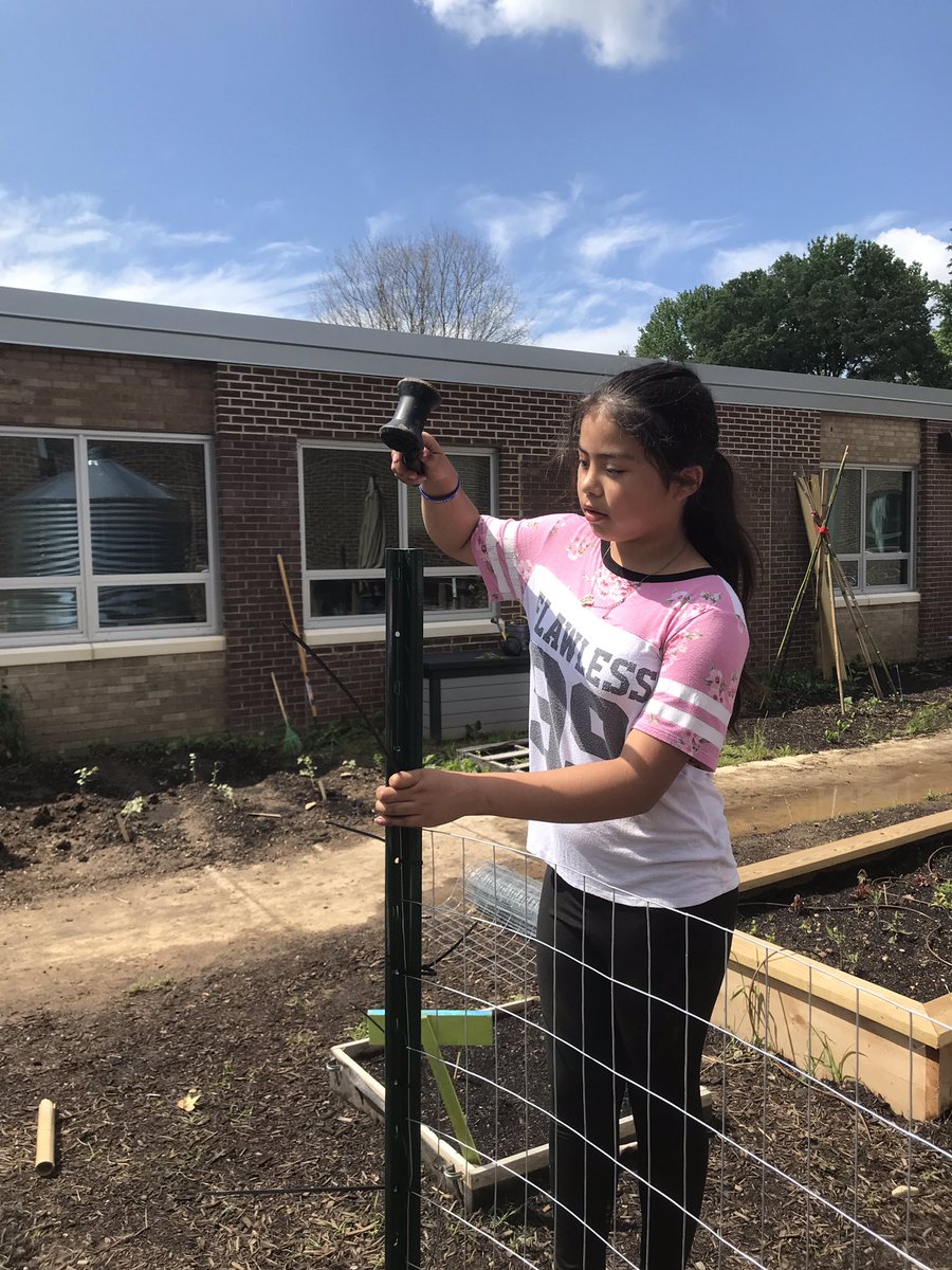 HMESgardens's tweet photo. Engineers of the future put their math skills and strategic thinking to work today! Thanks to @Team4_HM and @semanhmes our cucumbers have a great trellis to climb! #futureengineers #stemgarden #outdooreducation #cucumbertrellis #schoolgardens https://t.co/iR8PWF1R2m