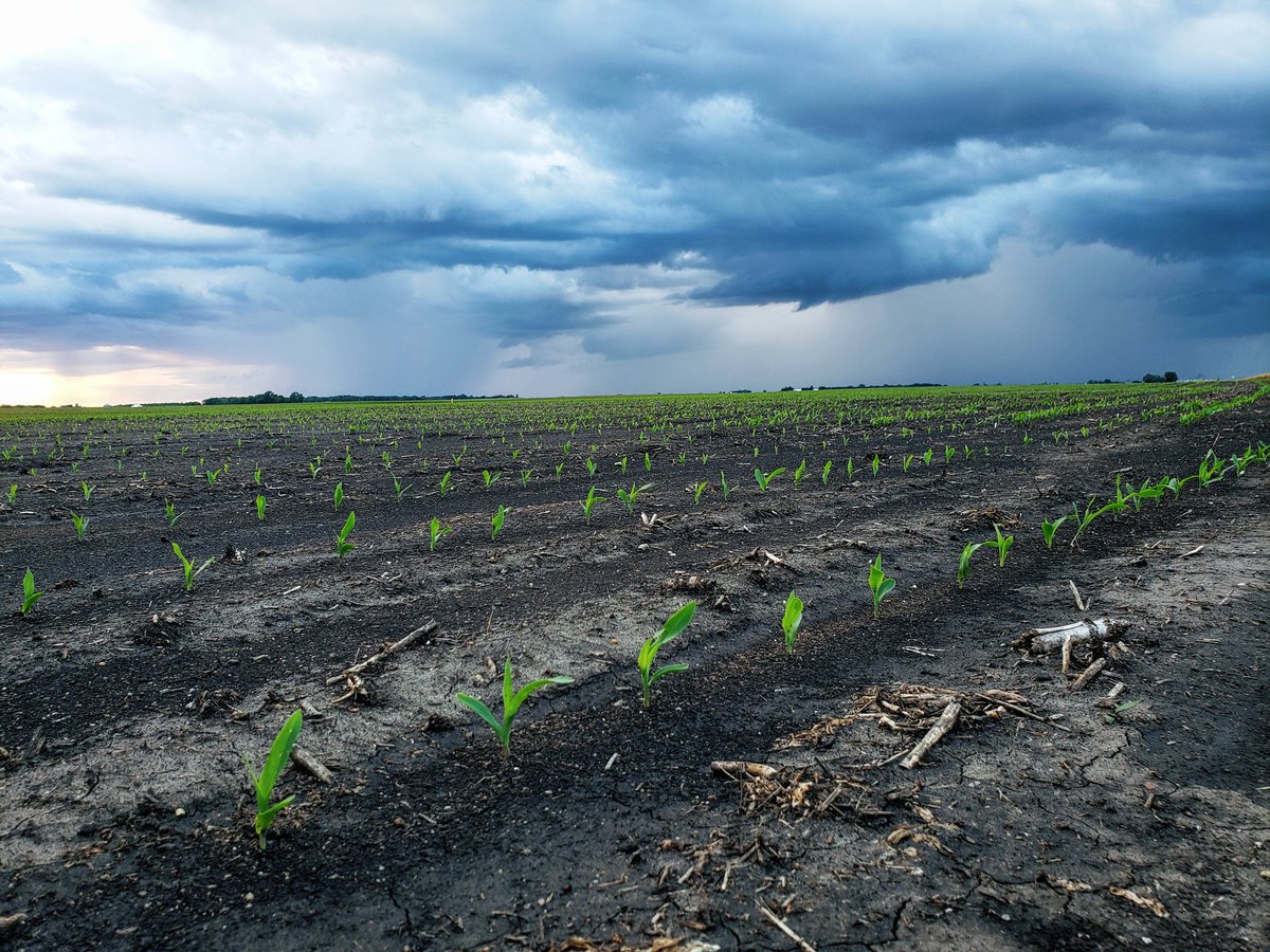 Andrew Pritchard tweet media