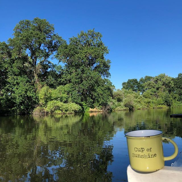 campclearlake's tweet photo. Good morning from Camp! #cachecreek #lovelakecounty #visitcalifornia #visitlakecountyca #fishing #vintagetrailer #girlcamper #sistersonthefly #campingwithdogs #unlikelyhikers #brownpeoplecamping #getoutdoors #rvlife https://t.co/Hxhpdw1HFx
