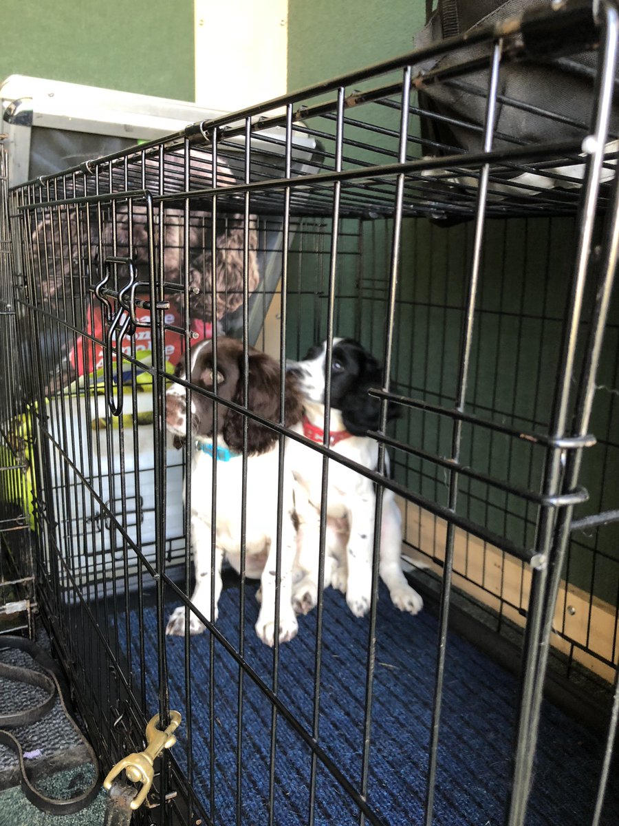 Who let the dogs out?? 🐾🐾🐾
Hopefully we’ll be seeing some more of our #K9 friends at this year’s Joint Services Open Day! 
<a href="/MetTaskforce/">Met Police Taskforce</a> <a href="/BWYK9/">B.W.Y Canine Ltd</a> 🐾 
Have you saved the date? 
#TBF