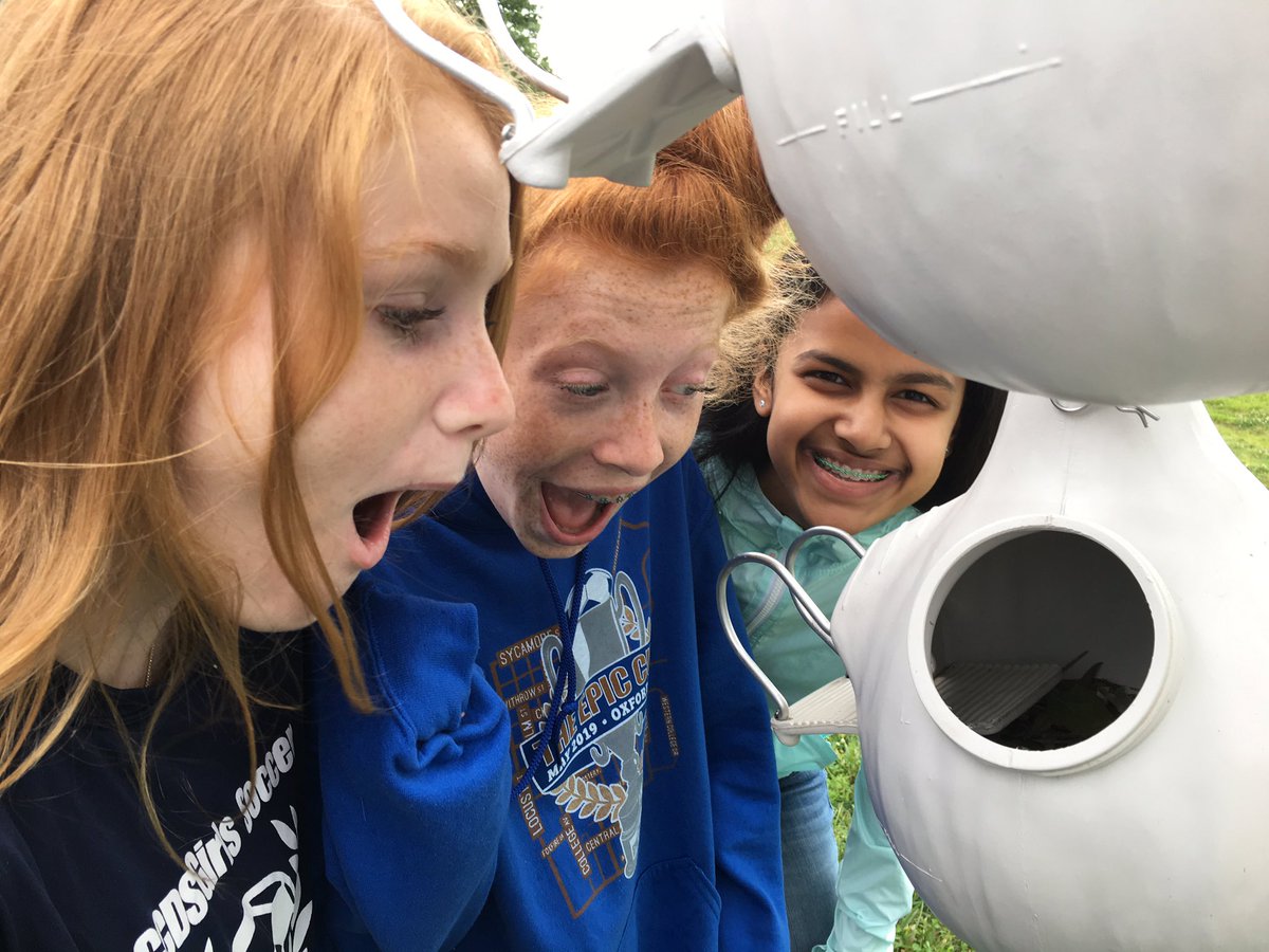 ccdspurplmartin's tweet image. What a surprise!  Purple Martins are nesting.  @CCDSHirsch @natur_xperience #ccdslearning