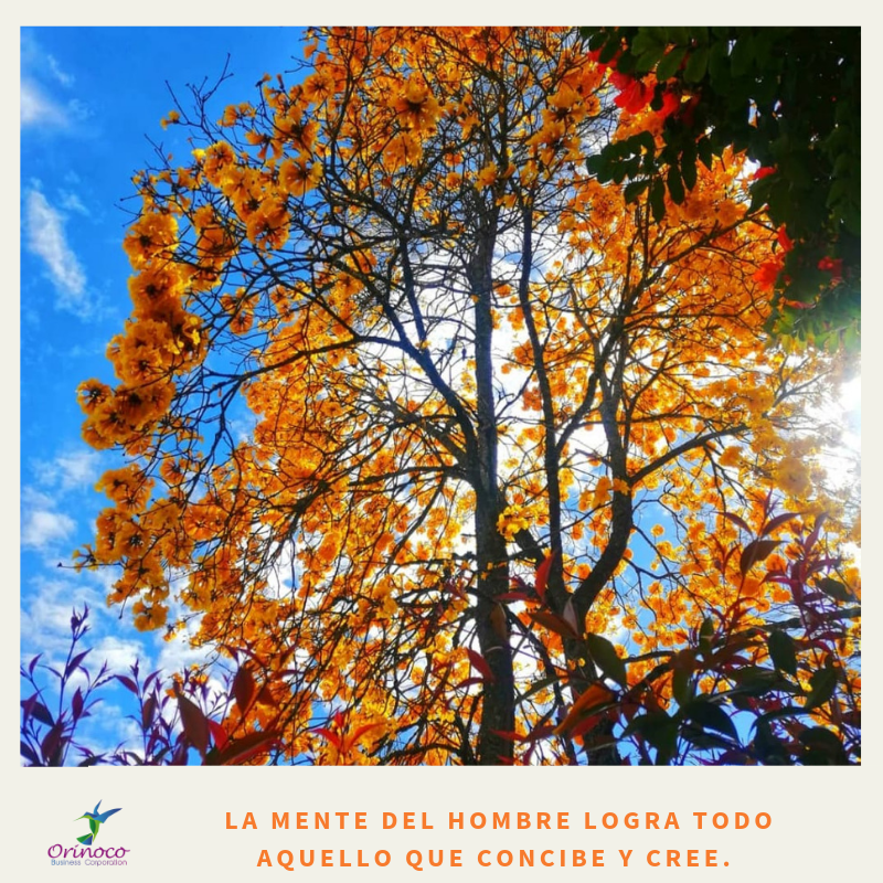 BusinessOrinoco's tweet photo. Que tengas un maravilloso viernes,🙏🙌 donde solo la alegría🤗 y la felicidad reinen en tu día. .#felizviernes https://t.co/qAKi3lbMBx
