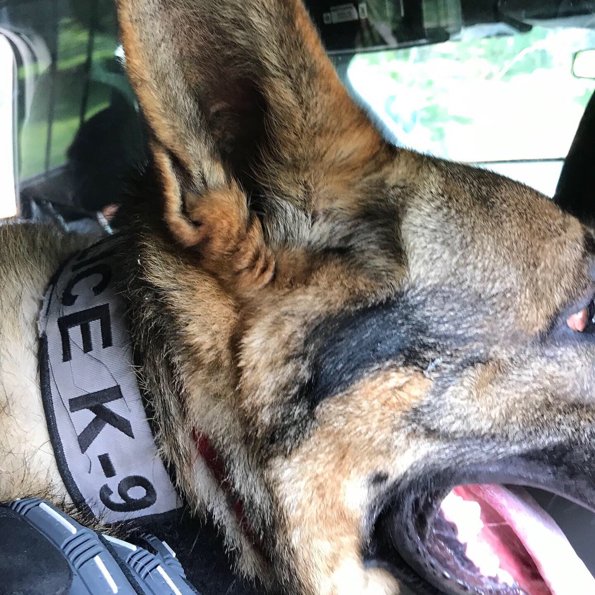 Holliston Police tweet media