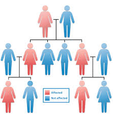 jtravisflhs's tweet photo. Heredity is the passing on of genetic traits #leregentsreview https://t.co/evJWeCw6GQ