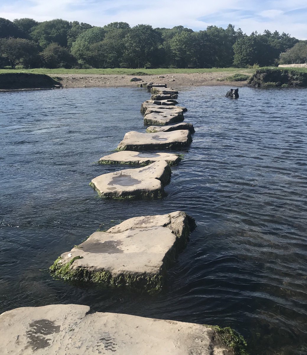 Ruby_thedog's tweet image. Today I’m at the stepping stones at Ogmore Castle! I fell off last time so not risking it again!