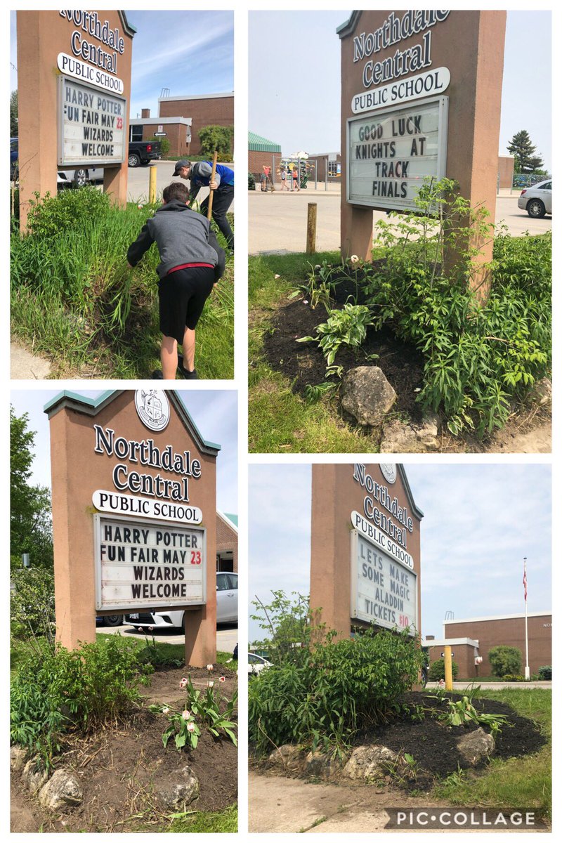 MillerBruyns's tweet photo. #millerbruyns grade 4s @NorthdaleCntrl have green thumbs. Gardening and permaculture promote teamwork, collaboration, community building, ecosystems stewardship, problem solving and FUN!  @TVDSBGlobal #ncknights https://t.co/XYRfp0n5u3