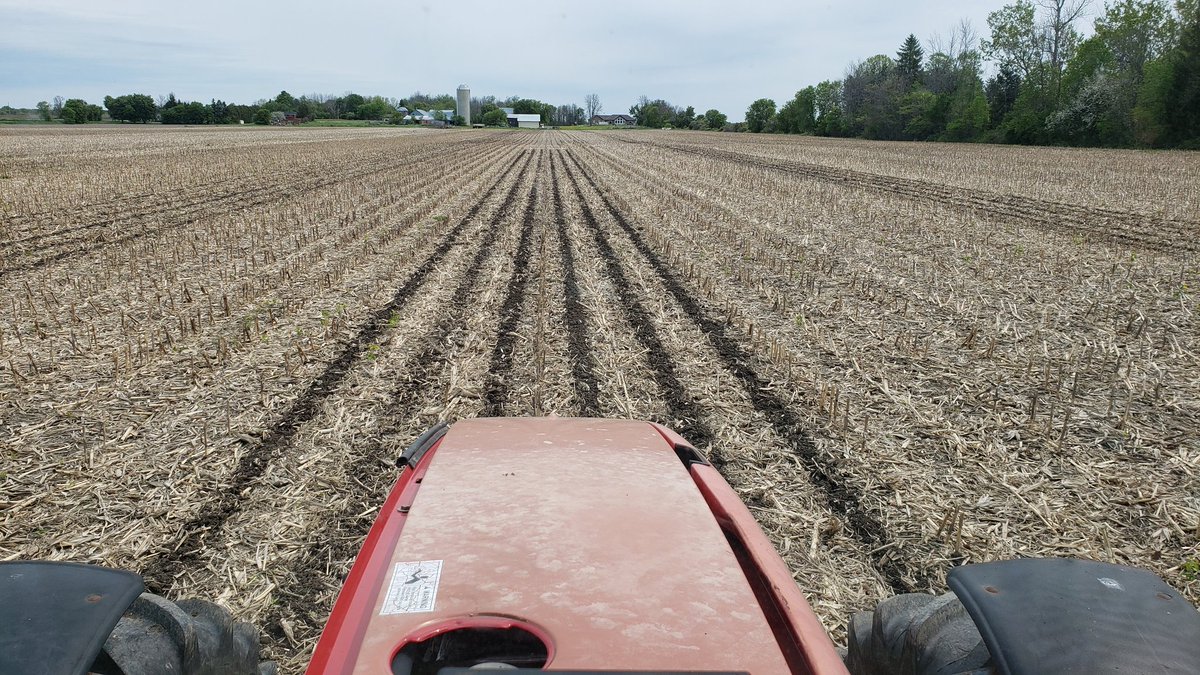 gpsontario's tweet photo. Can it be true.... are we able to get the @DawnEquipment Gen V in the field today ? Looks like it ! Clay is still pretty saturated but the down pressure system is doing a fantastic job ! #plant19 #precisionag @AdamJAdkins #gotime #230bucornresidue #gocorn #gpsontariostraight https://t.co/XylzkYyO11