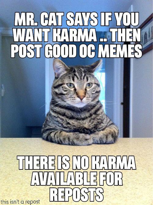 Only Advice Animals tweet media