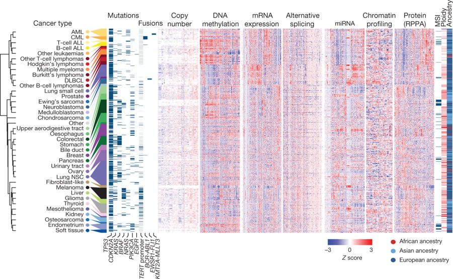 mmw_lmw's tweet photo. #Cancer_Cell Line Encyclopedia | Next-generation characterization | Overview of the datasets | William Sellers @NovartisScience @nature https://t.co/hMr5P04Qsp | #May_ReCap https://t.co/rQOGt1NFrT
