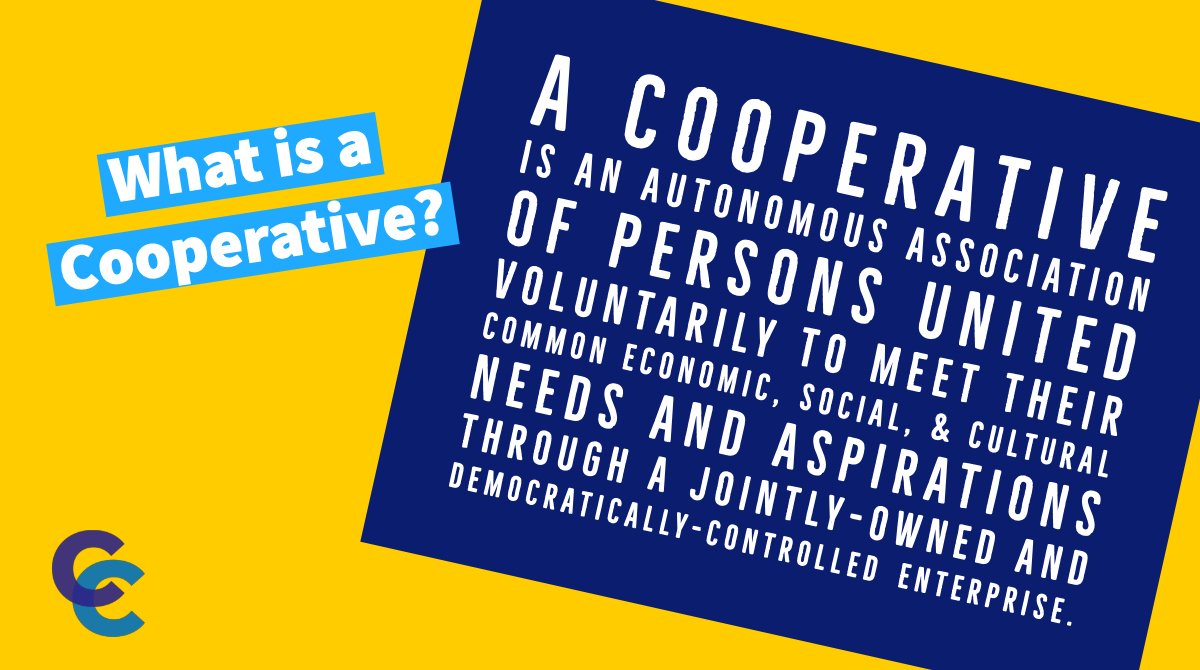 Collective Campaigns (@CollectiveCamps) / Posts / X