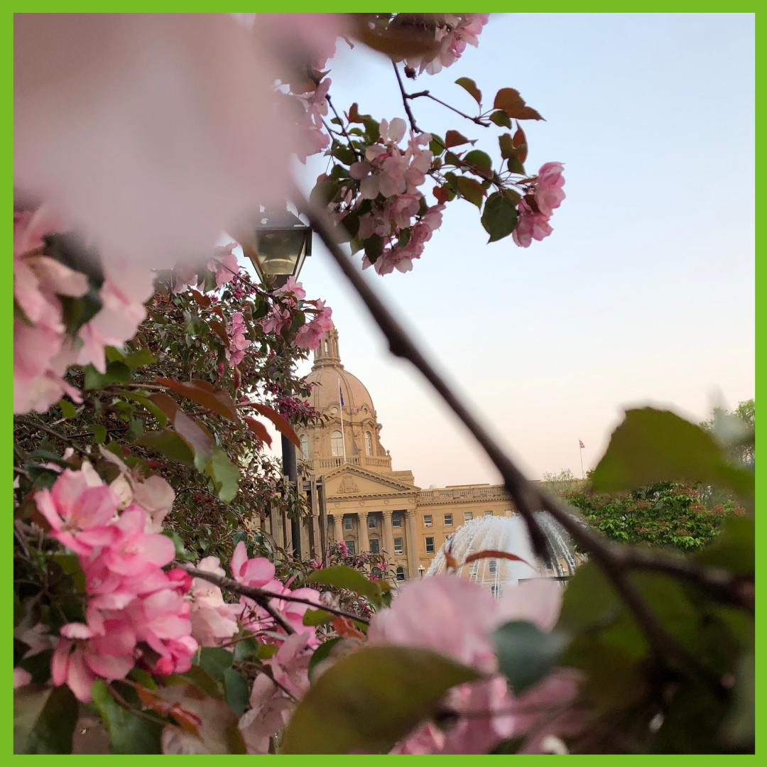 Taste of Edmonton has been an iconic summer festival in Edmonton for 35 years and it is the largest event of its kind in Western Canada-showcases local foods, refreshments, and entertainment in one convenient venue.