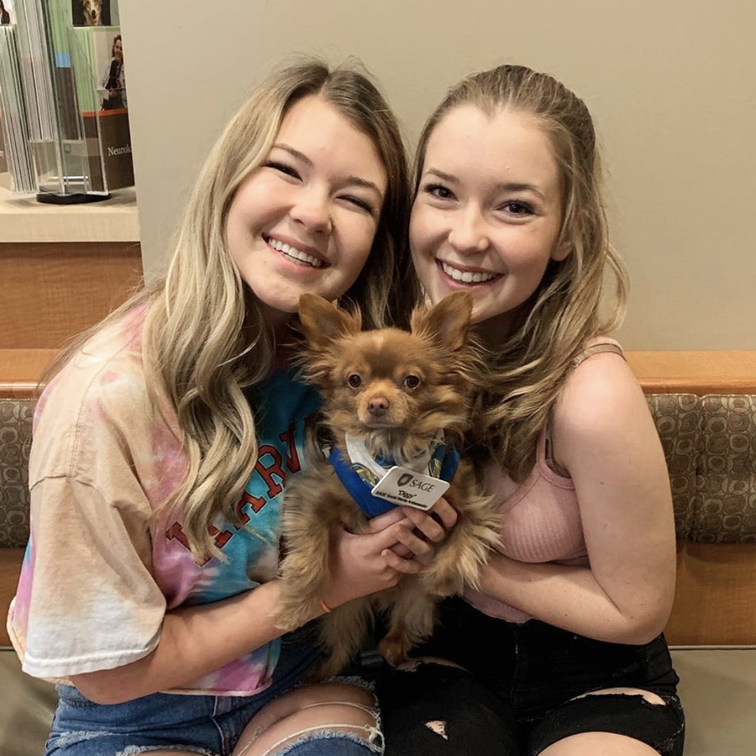 SageCenters's tweet photo. Happy #NationalSmileDay! Show us the four-legged friends who put a smile on your face! https://t.co/R6dTdgKGkj