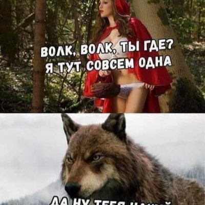 MailzMark's tweet image. #НовыйАватар