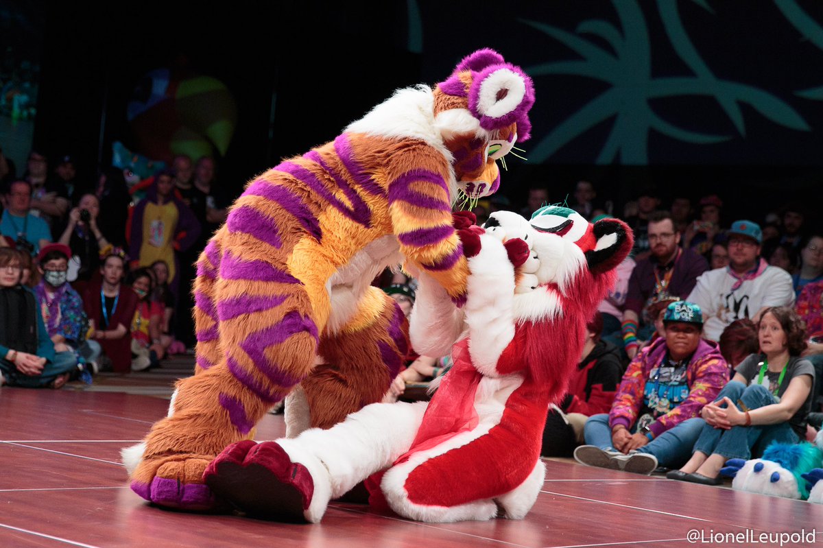 LionelLeupold's tweet photo. When “spill your guts” isn’t a metaphor. X3 #fursuitfriday @Sunsetiger @swearingsaberr https://t.co/TwKjDBMQ1k