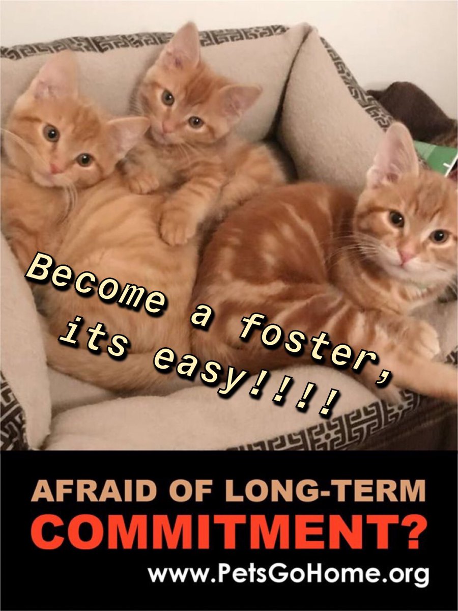 Humane Society tweet media