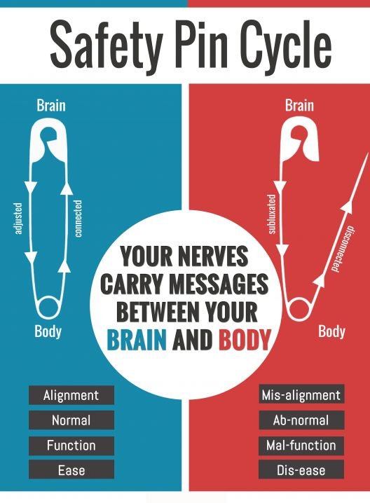 MedicalSchrock's tweet photo. How does your nervous system work? Think of it like a safety pin. Come see us if you need an adjustment. #schrockmedcialclinic #bestchrioinkearney #kearneychiropractic #adjustment https://t.co/iC7baVxX3G