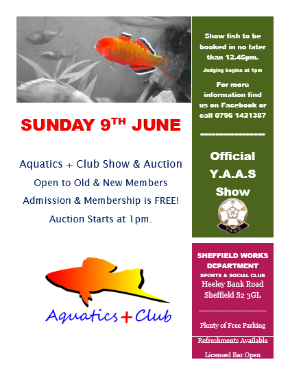 PANDAquatics's tweet photo. Just received a parcel from @ProdibioAqua &amp; @hydorsrl with some great prizes for the Aquatics Plus summer show. These prizes are well worth winning. Thank you. https://t.co/WdTcexYphh
