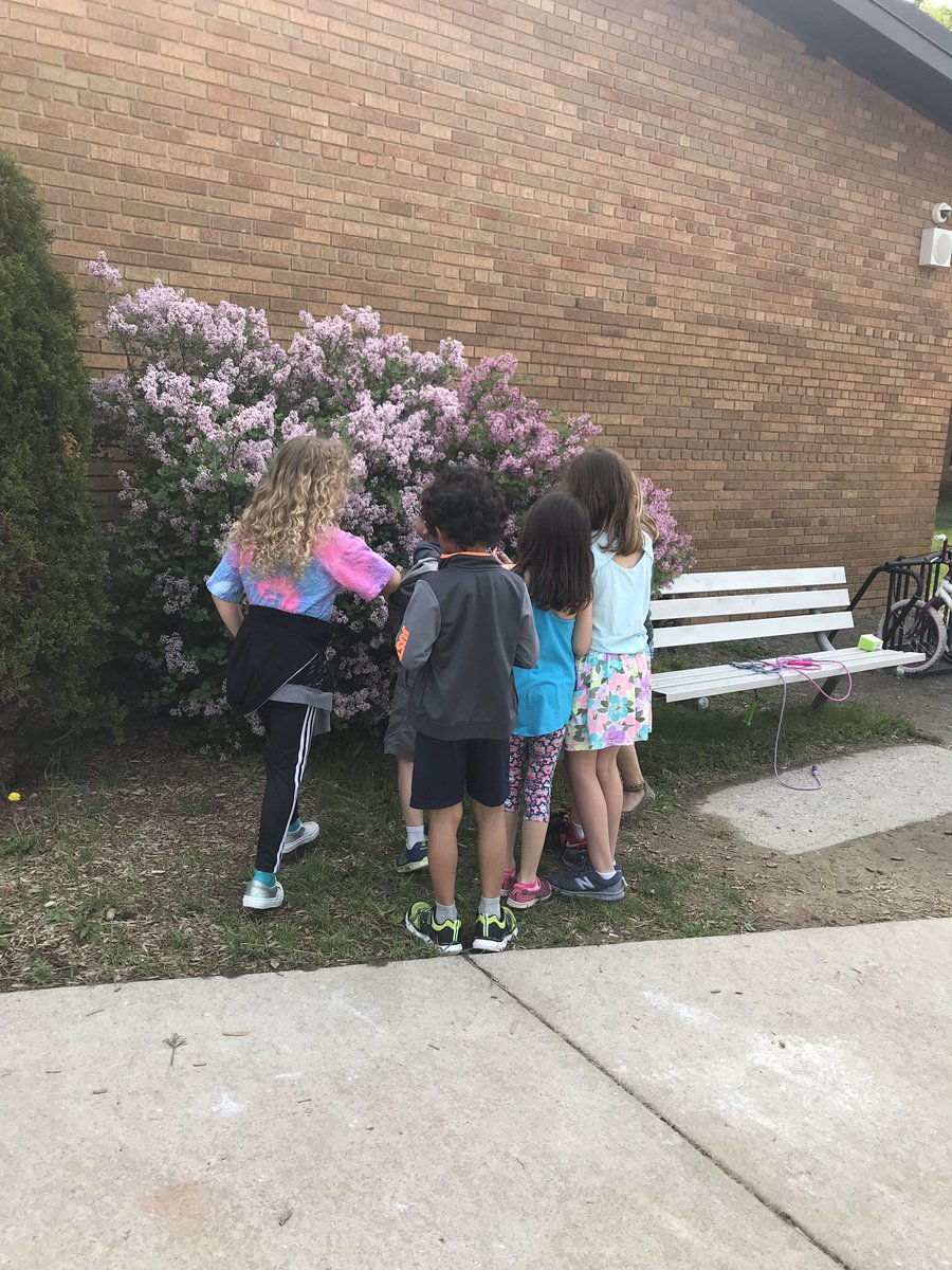 msjohnson_1st's tweet photo. We loved observing your butterflies @MsRottner ! #PattengillPride #BerkleyDifference https://t.co/lxVkTTUr2j
