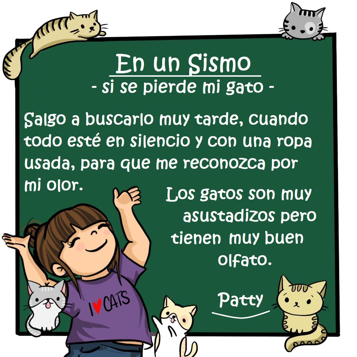 PattyHubner's tweet photo. #simulacronacional2019  En caso de #sismos si se pierde mi gato, salgo a buscarlo muy tarde, cuando todo esté en silencio y con una ropa usada para que me reconozca por mi olor. Los gatos son muy asustadizos pero tiene muy buen olfato. 
#ilovecats #animallover https://t.co/mC2QSodiFt
