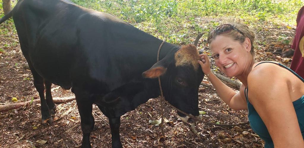 kellydobroski's tweet photo. We found more than mangroves on our last day in Sarteneja 🐮😍 thankful for our friends and collaborators at SACD for the tour of the town!  #dukebassinbelize #fieldwork #travel #belize https://t.co/w1iYDjmcHl