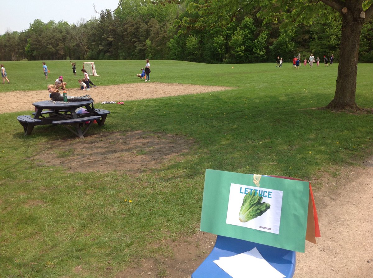 downieps's tweet photo. The Downie Making Change group held another fitness Friday today. Downie Dolphins were divided into vegetable teams to get some healthy outdoor exercise. @yourschools #iAMamdsb https://t.co/CSudZ5TcJY
