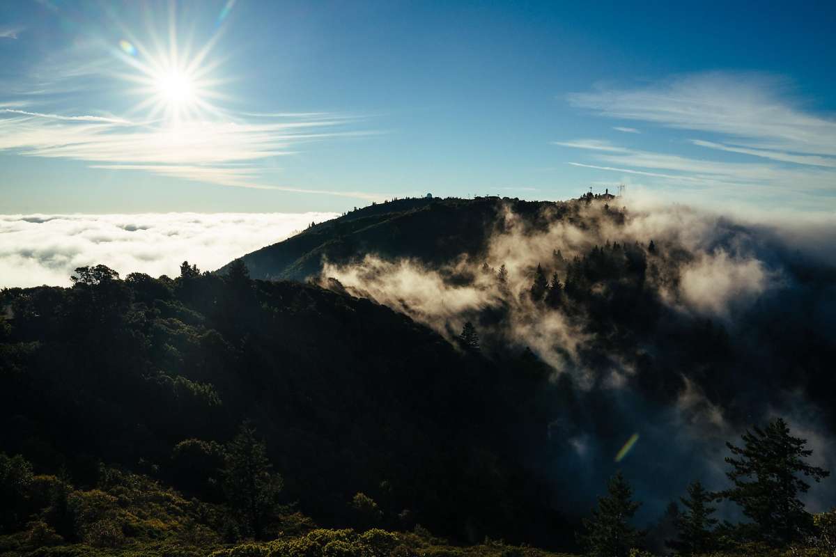 HearstLive tweet media