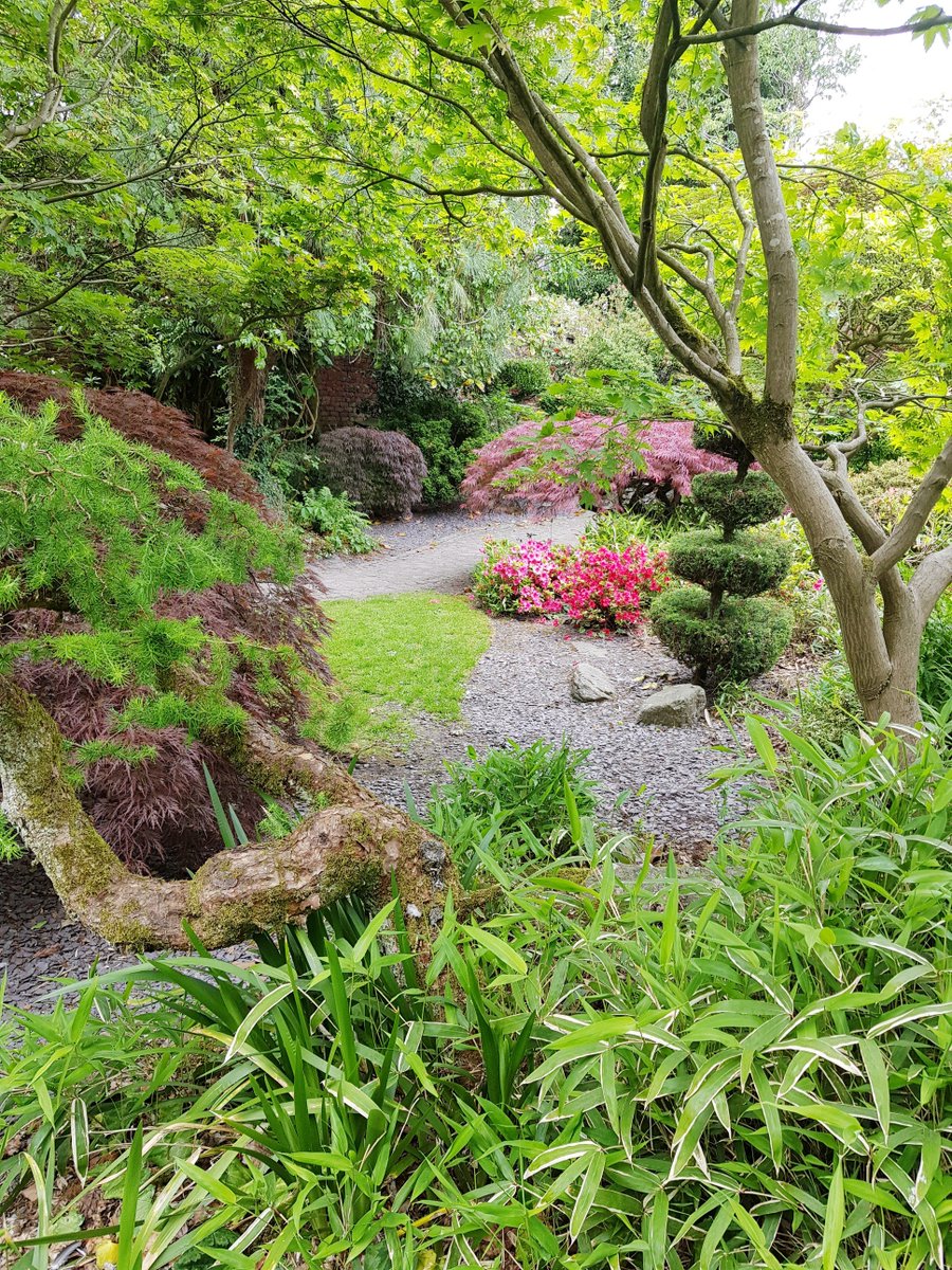 Lovely little trip to Calderstones Park last Friday with our Kirkby drop-in group. 🙂🌺🌞🌳🥀