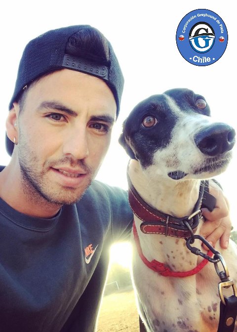 PistaChile's tweet photo. Desde San Carlos Ñuble nuestros amigos Cheo y Grita Silencio.
Porque el apego entre Greyhound-Humano existe y es verdadero. 
@abernales @AHoffmannv @FELIX_GonzalezG @40ChileOficial @sebastianpinera https://t.co/OUrP0jUQWg