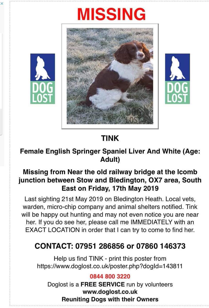 rosieDoc2's tweet photo. #spanieltheftawareness DOG OF THE WEEK....TINK 😓 #englishspringerspaniel MISSING since 17/5 from near the old #railwaybridge at the #Icomb junction between #Stow & #Bledington spotted 21st...very rural area, locals helping ❤️ pls RT ty xx
https://t.co/RI9VLgIMsQ https://t.co/dNK5Jzz8cf